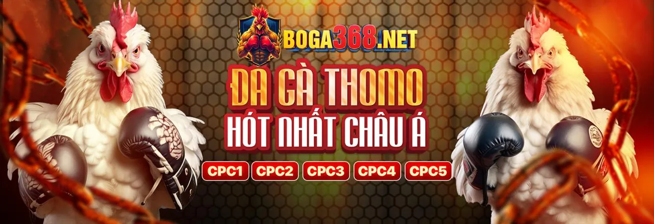 Hình ảnh đá gà trực tuyến kịch tính tại helo888 tải game