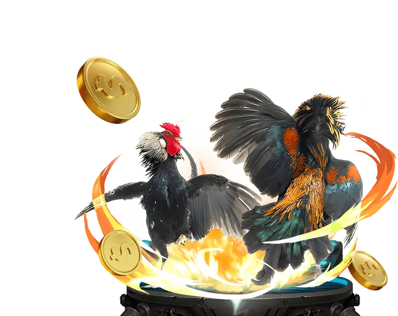Tổng quan các loại máy đánh bạc helo888 tải game đa dạng